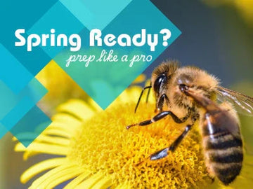 Are Your Bees Ready for Spring? Prep Like a Pro with HiveAlive