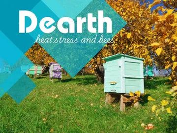Surviving the Heat: How to Protect Your Honey Bees from Summer Shortage