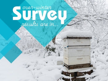 HiveAlive cuts winter losses in half