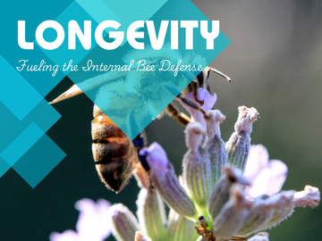 The Science of Bee Longevity: Vitellogenin and Oxidative Stress