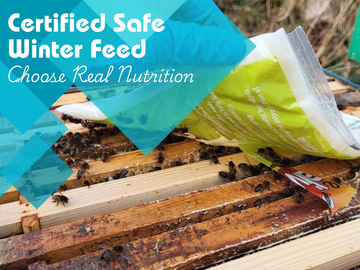 What's Really in Your Bee Fondant? Most Suppliers Don't Test. We Did.