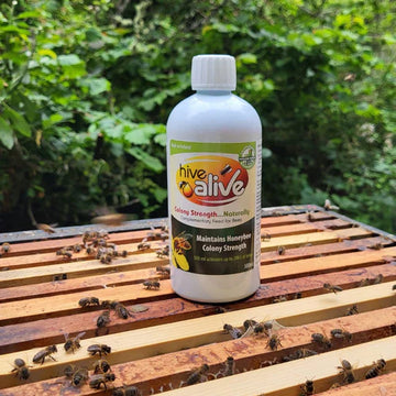 Food, nutrition and making sure your bees are strong and healthy