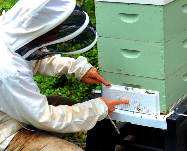 The Ultimate Universal Robbing Screen™